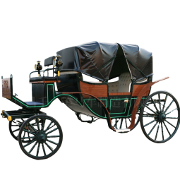 Sightseeing Carriage Manufacturer - Black Romantic