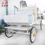 Horse Drawn Hearse Factory - Electric Steel Custom