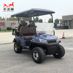 Electric Carriage Manufacturer - Discounted Price Buggy