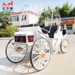 Pumpkin Carriage Supplier - Low Cost Street Design