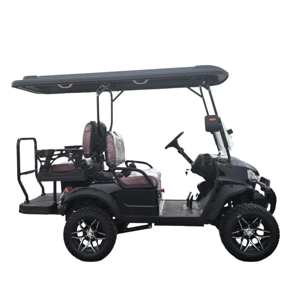 Electric Vehicle Factory - 60V 6 Seater Golf Cart