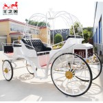 Pumpkin Carriage Supplier - Low Cost Street Design