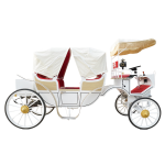 Electric Carriage Supplier - Steel Sightseeing Bus