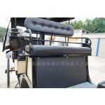 Electric Carriage Factory - Romantic Sightseeing