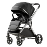 Baby Stroller Factory - Luxury Infant High Landscape Stainless Steel