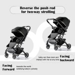 Baby Stroller Manufacturer - Wholesale Travel-Friendly Reversible One-Fold
