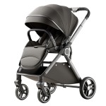Baby Stroller Factory - Durable 2-in-1 High Landscape Two-Way
