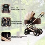 Baby Stroller Manufacturer - 3-in-1 High Landscape Folding Shock-proof