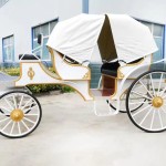 Cinderella Carriage Supplier - OEM Custom Party Celebration