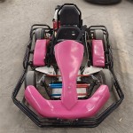 Gas Go Kart Factory - OEM Custom Racing Design
