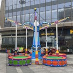 Merry-go-round Supplier - OEM Custom Electric Carousel