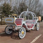 Cinderella Carriage Supplier - OEM Custom Party Celebration
