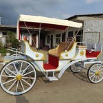 Horse Trailer Manufacturer - OEM Custom Special Transport