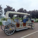 Horse Trailer Manufacturer - OEM Custom Special Transport