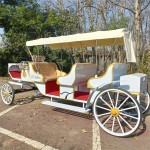 Lighted Carriage Factory - OEM Custom Sightseeing Equipment