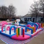 Ferris Wheel Manufacturer - OEM Custom Sky City