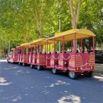 Track Train Supplier - OEM Custom Electric Design