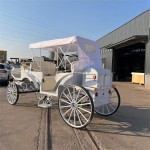 Marathon Carriage Factory - OEM Custom Low Price Design