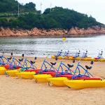 Closed Yacht Manufacturer - OEM Custom Roof Design