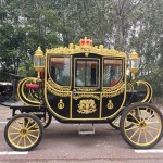 Mobile Carriage Supplier - OEM Custom Graceful Design