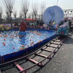 Train Ride Manufacturer - OEM Custom Mall Equipment