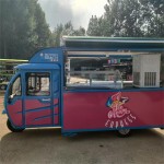 Sightseeing Train Manufacturer - OEM Custom Tourist Transport
