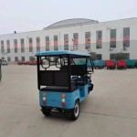 Sightseeing Train Manufacturer - OEM Custom Tourist Resort