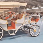 Wedding Carriage Manufacturer - OEM Custom Sightseeing Cart
