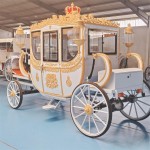 Wedding Carriage Manufacturer - OEM Custom Sightseeing Cart