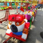 Roller Coaster Manufacturer - OEM Custom Mall Using