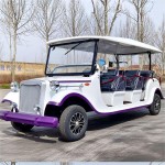 Electric Sightseeing Bus Factory - OEM Custom 3.5KW Motor