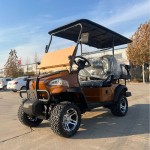 Electric Bus Manufacturer - OEM Custom 23 Seats 9KW