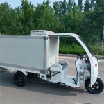 Electric Car Supplier - OEM Custom Golf Cart Sightseeing