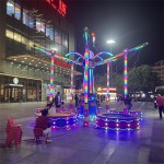 Bungee Trampoline Supplier - OEM Custom Outdoor Playground