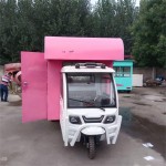 Fast Food Tricycle Supplier - OEM Custom Three Wheel
