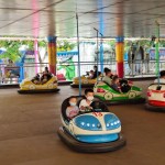 Bumper Cars Manufacturer - OEM Custom Amusement Park Ride