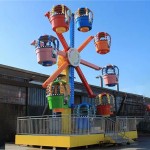 8 Cabins Ferris Wheel Manufacturer - OEM Custom Amusement Park