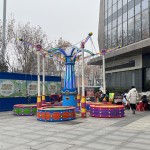 Electric Carousel Factory - OEM Custom Amusement Ride