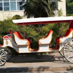 Royal Carriage Manufacturer - OEM Custom Wedding Celebration