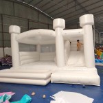 Inflatable Combo Supplier - OEM Custom Slide Water