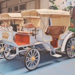 Electric Carriage Manufacturer - OEM Custom Horseless Design
