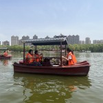 Tagada Ride Supplier - OEM Custom Amusement Park