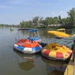 4 Seater Yacht Manufacturer - OEM Custom River Park