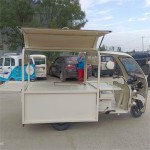 Ice Cream Tricycle Supplier - OEM Custom Street Food