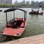 Tagada Ride Supplier - OEM Custom Amusement Park