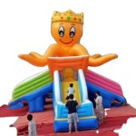 Ferry Wheel Supplier - OEM Custom Cabins Design