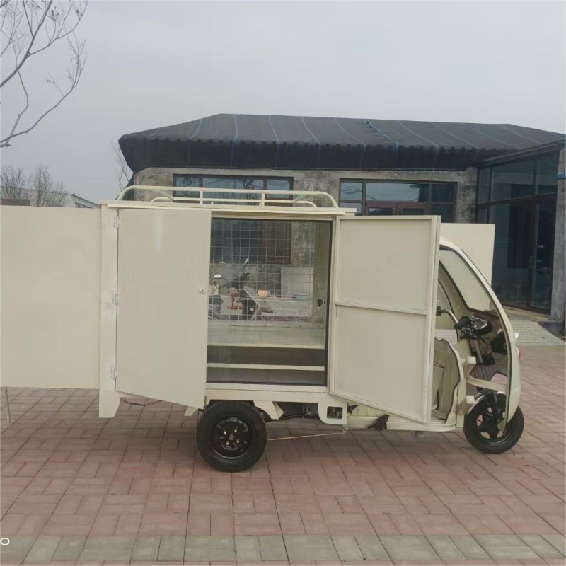 Ice Cream Tricycle Supplier - OEM Custom Street Food