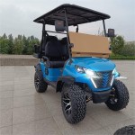 Horse Carriage Supplier - OEM Custom Cinderella Design