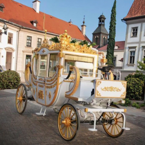 Royal Carriage Manufacturer - OEM Custom Wedding Celebration