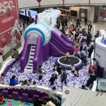 Inflatable Slide Supplier - OEM Custom Event Mall